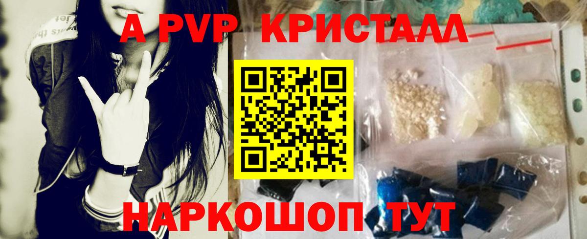 Альфа ПВП СК КРИС Курск