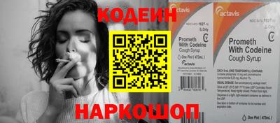 индика Дубна