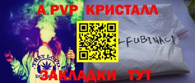 индика Дубна