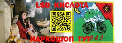 индика Дубна