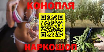 индика Дубна