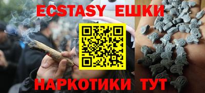 индика Дубна