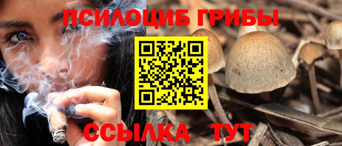 Псилоцибиновые грибы Magic Shrooms  Вход с VPN  Курск 